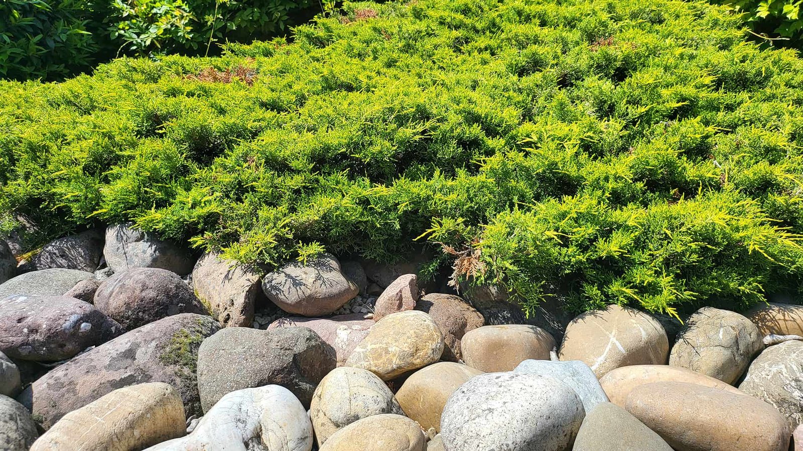 Jardin arboré de la propriété à Pont-de-Roide–Vermondans